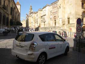 Concedidas nueve licencias de eurotaxi en C�rdoba