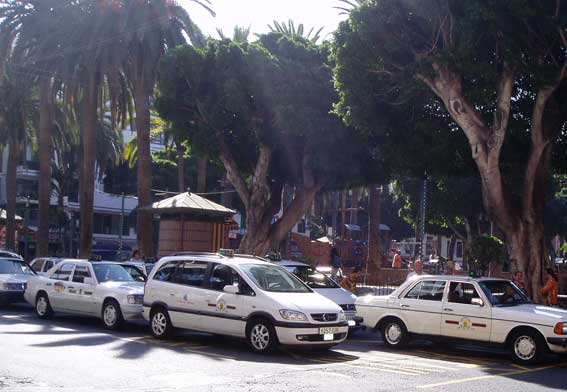 El PP de Tenerife analiza el Reglamento con el sector