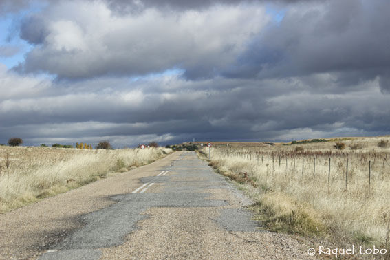 Conservar las carreteras es m�s rentable que construir