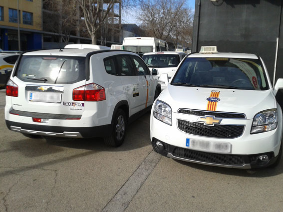 La nueva regulación divide al taxi palmesano