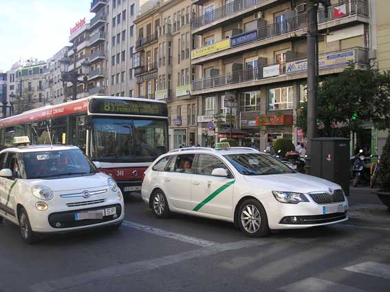 IU alega contra la ordenanza de Granada