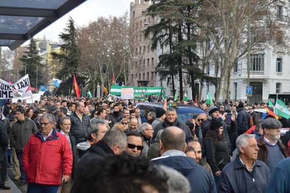 Las manifestaciones del 26A al detalle