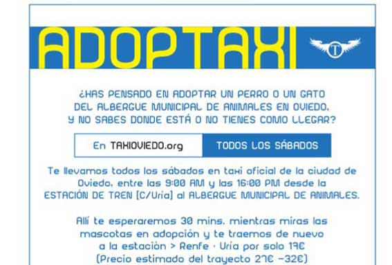 Taxista fomenta la adopción de animales en Oviedo