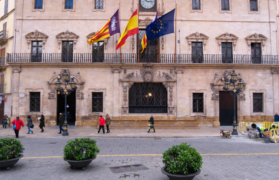 Palma propone uniformar a sus taxistas