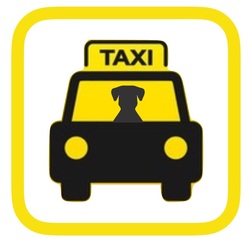 Las mascotas también viajan en taxi