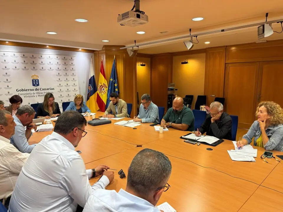 Mesa del Taxi de Canarias