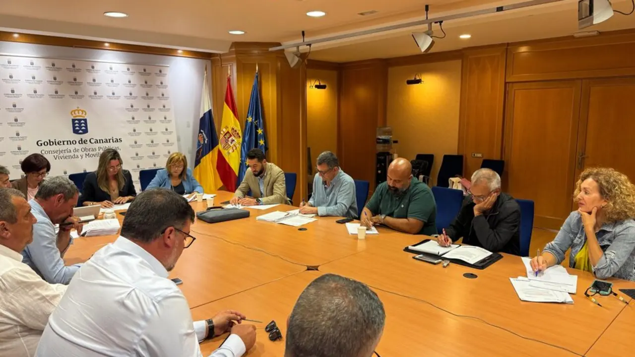 Mesa del Taxi de Canarias