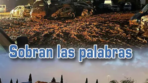 NOVIEMBRE 2024