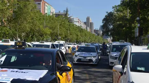A la manifestación acudieron profesionales de otras ciudades 