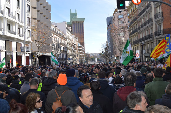 El taxi se vuelve a concentrar en Sol