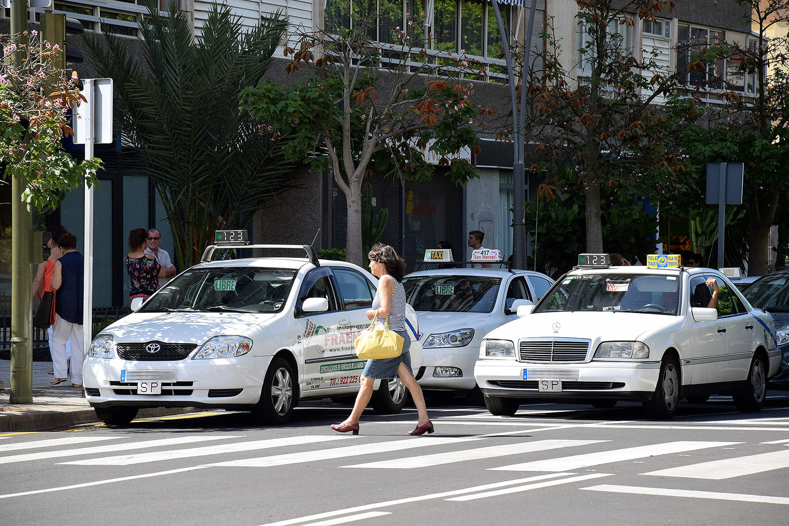 Manifestación del taxi de Santa Cruz los días 14 y 15 de enero