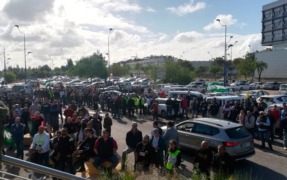 Élite Sevilla convoca protestas para ampliar la representatividad del taxi