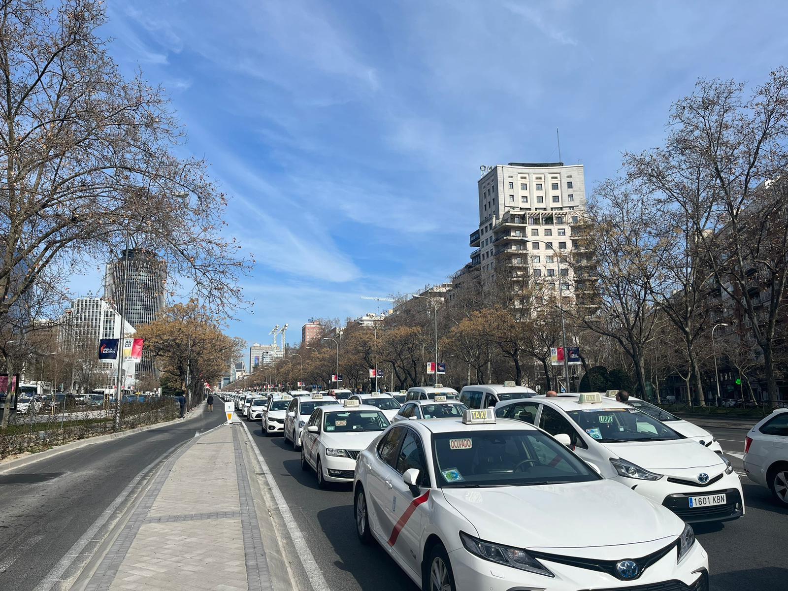 Nueva gran manifestación en Madrid contra el Reglamento